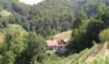 €69,000, Farm + winepress B plot + 4.7 hectares. Click here for more details. €69,000, Farm + winepress B plot + 4.7 hectares. Click here for more details.